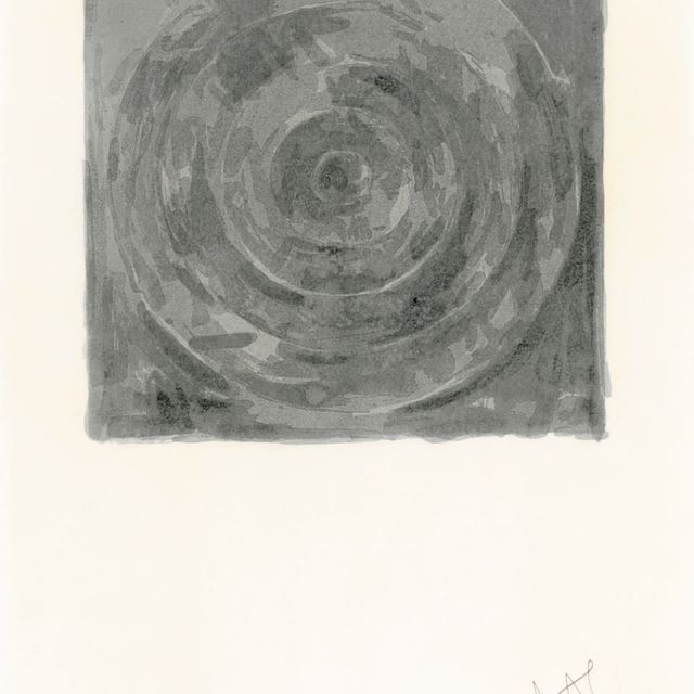 Jasper Johns — Цель, от имени Мейера Шапиро (ULAE 126)