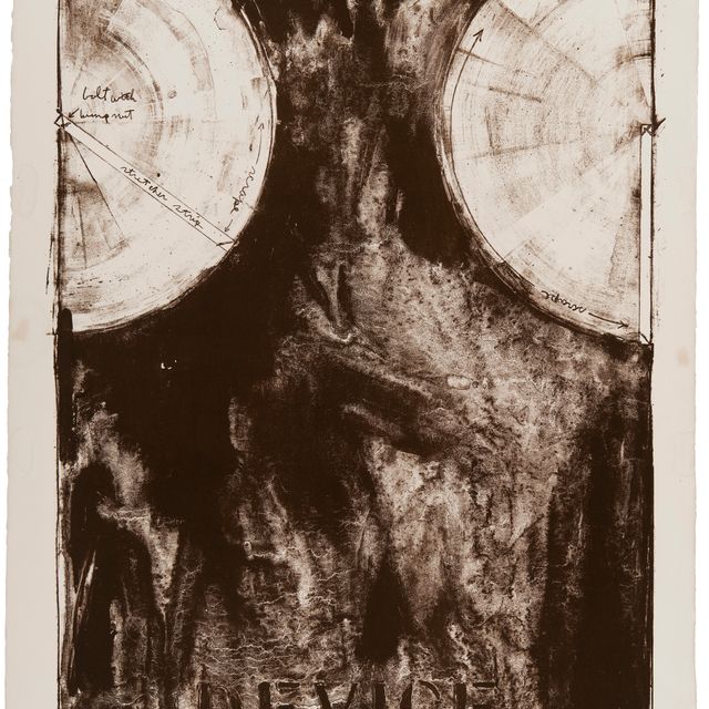 Jasper Johns — Устройство