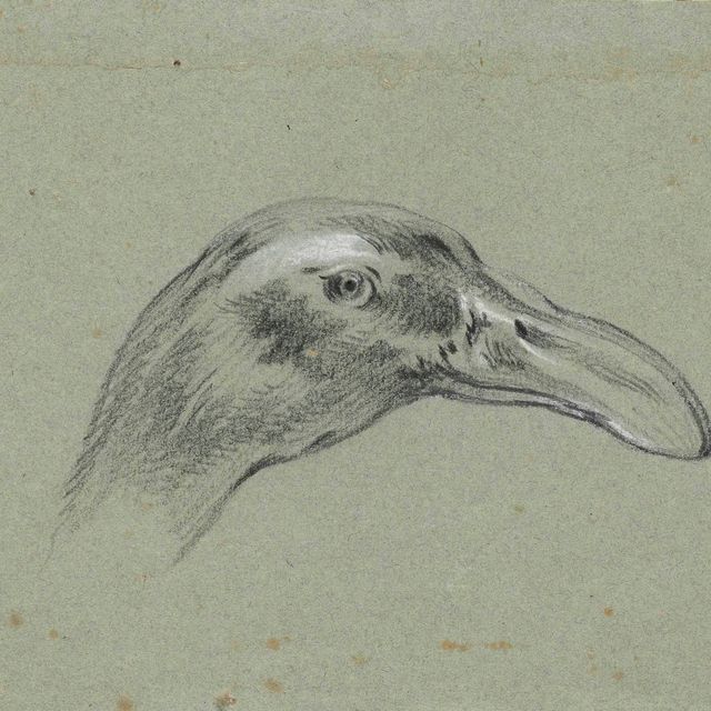 Jean Baptiste Oudry — Тет-а-тет с уткой