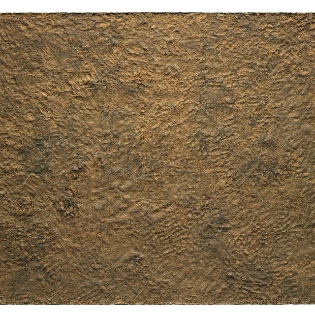 Jean Dubuffet — Радость жизни на земле