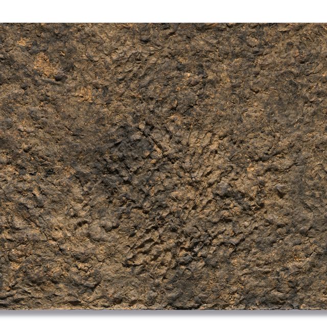 Jean Dubuffet — Гала-де-терре