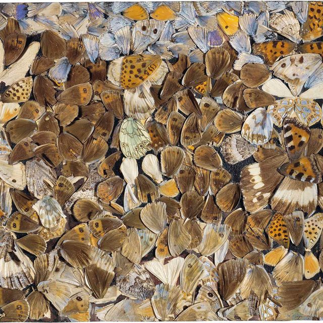 Jean Dubuffet — Размер оплаты (ландшафтный)
