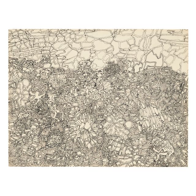 Jean Dubuffet — Оплата за двоих сотрудников