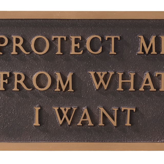 Jenny Holzer — Выживание: Защити меня от того, чего я хочу...