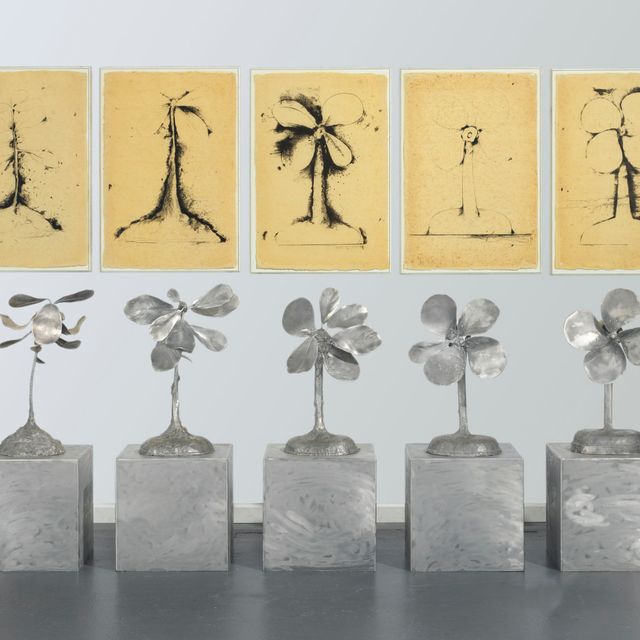 Jim Dine — Превращение растения в веер
