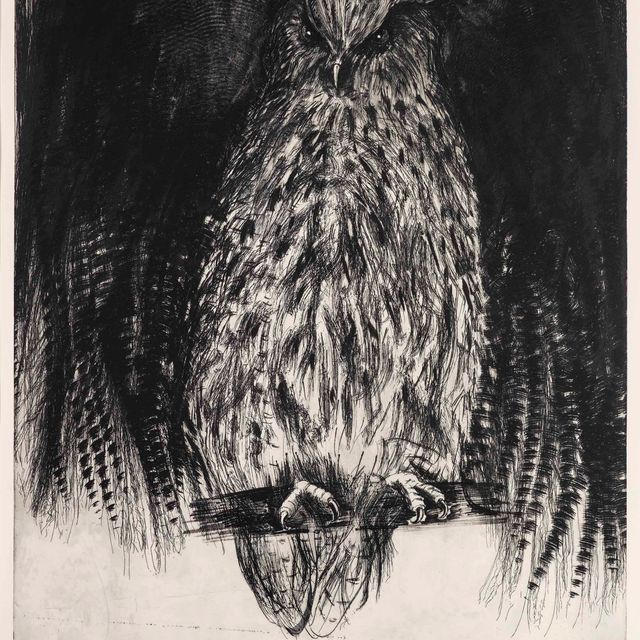 Jim Dine — Сова