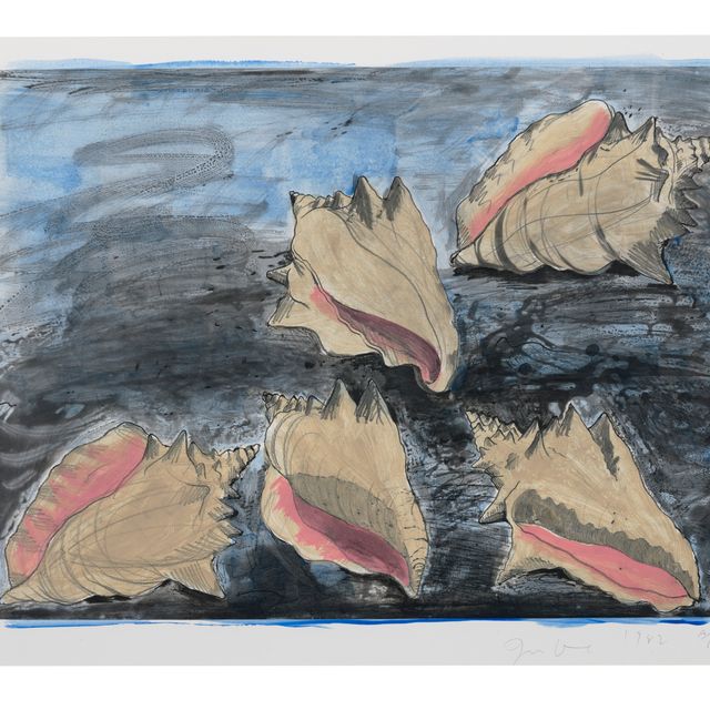 Jim Dine — Пять снарядов