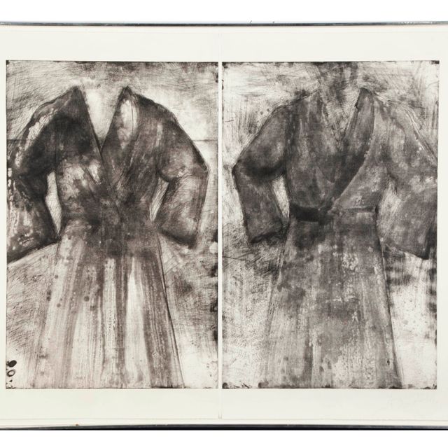 Jim Dine — 2 Мантии (Папоротниковая, кислотная и водяная) (Колледж Уильямса, 215)