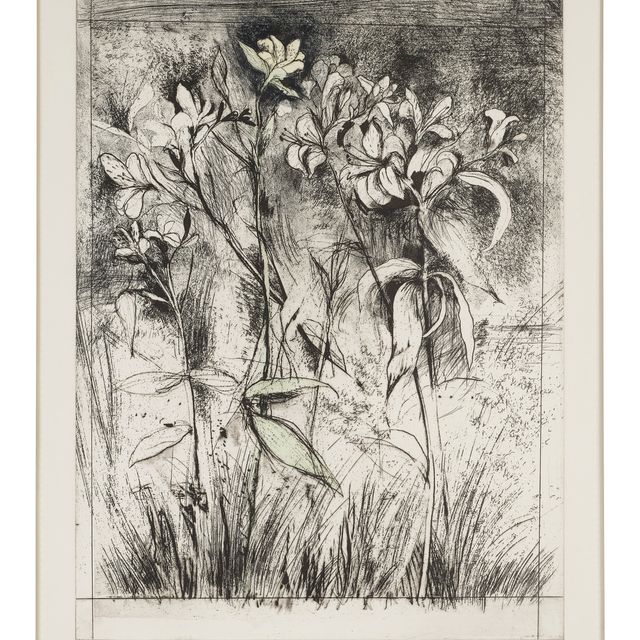 Jim Dine — Великолепные лилии из Храма флоры
