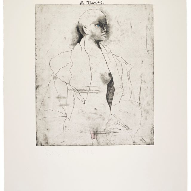 Jim Dine — Медсестра, на восьми листах из Неизвестного романа