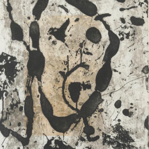 Joan Miró — Рупестрес V (ум. 1039)