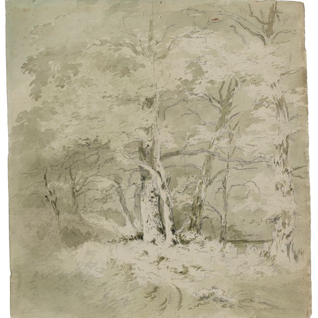 John Constable — Изучение деревьев
