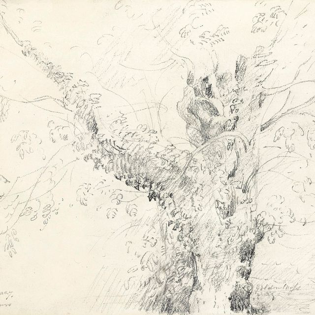 John Constable — Ива на Флэтфордских лугах