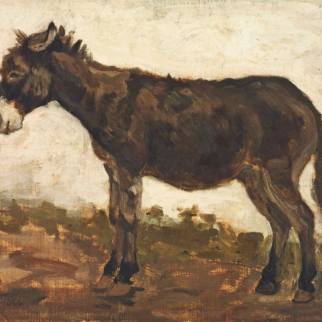 John Constable — Этюд осла