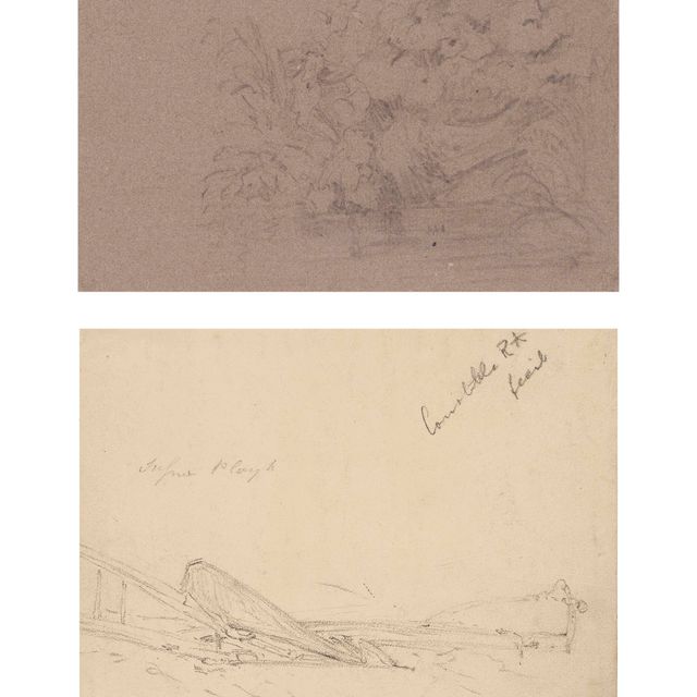 John Constable — Изучение растений и горных пород; а также рисунок плуга ( справа ) и набросок собачьей головы ( сзади ).