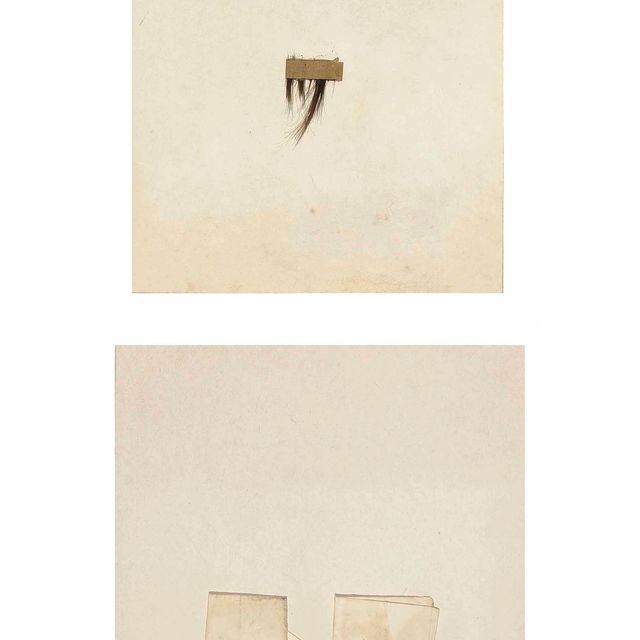 Joseph Beuys — Дуговой свет
