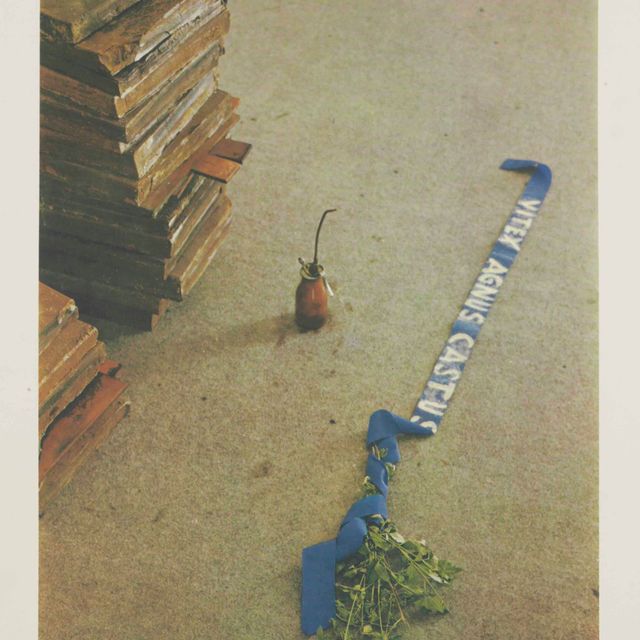 Joseph Beuys — Витекс ангус Кастус