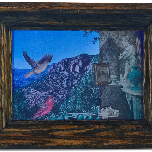 Joseph Cornell — Без названия (требуется синее стекло)