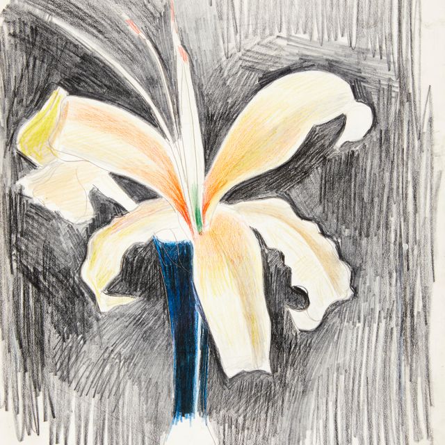 Joseph Stella — Желтая лилия