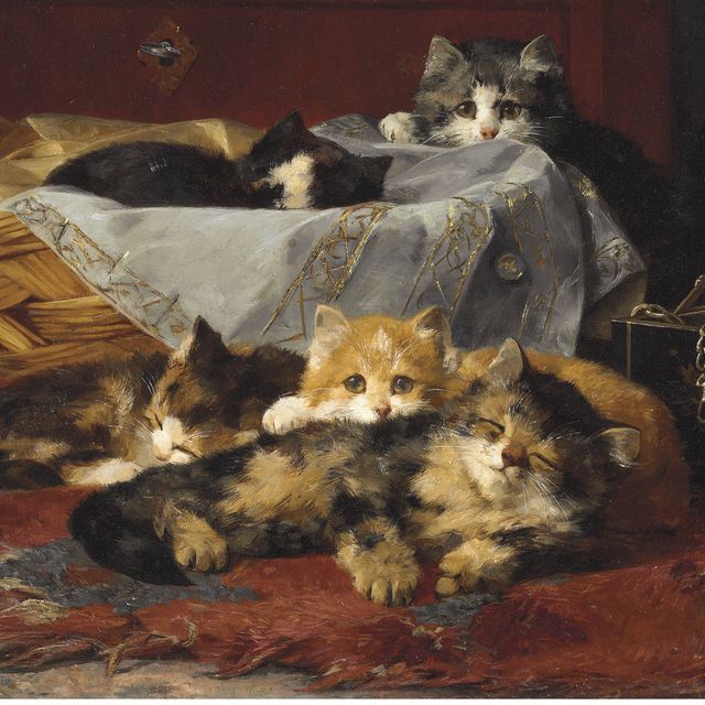JR — Котята в корзинке
