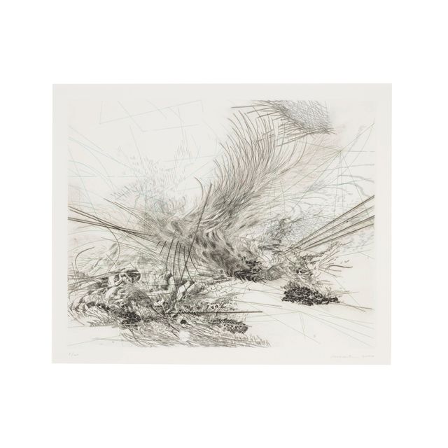 Julie Mehretu — Без названия