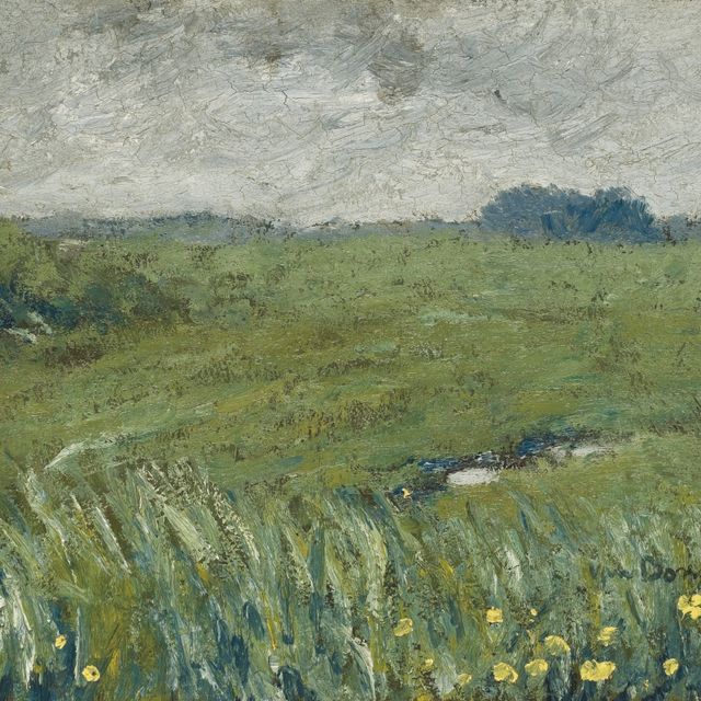 Kees van Dongen — Оплата труда