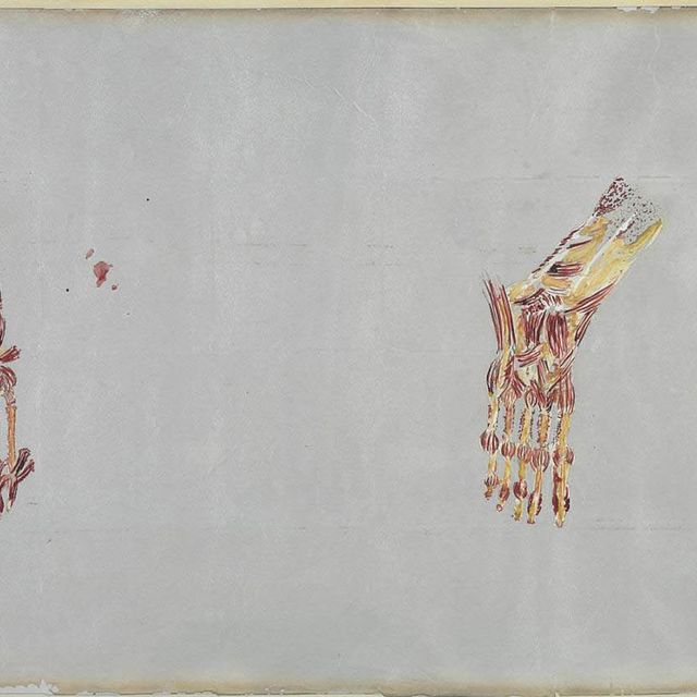 Kiki Smith — Без названия (футы)