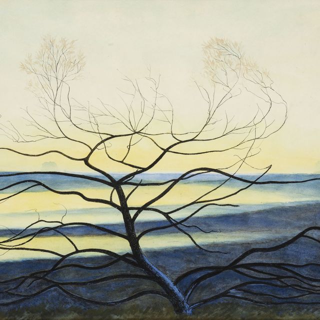 Leon Spilliaert — Арбуст-сюр-фон-Жон, Верхний Фань