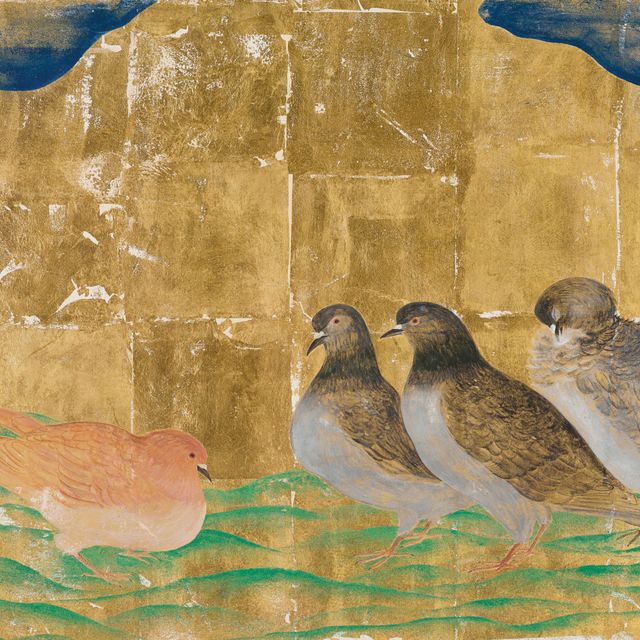 Léonard Tsuguharu Foujita — Голуби