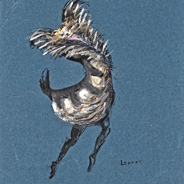 Leonor Fini — С'Хелдон, мастерица по костюмам для "Ночных девиц"