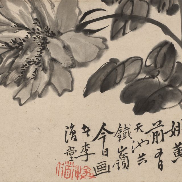 Li Shan — Пион