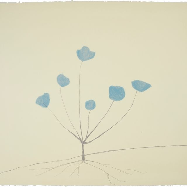 Louise Bourgeois — Лесной цветок из коллекции Geldzahler