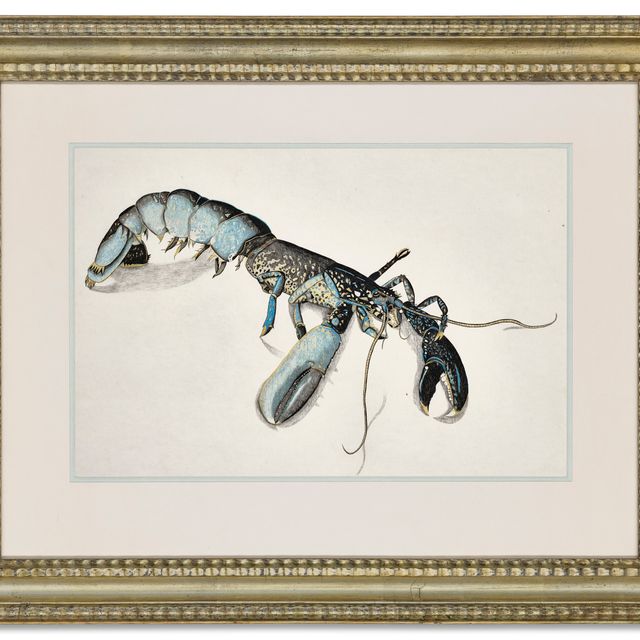 Lucian Freud — Лобстер