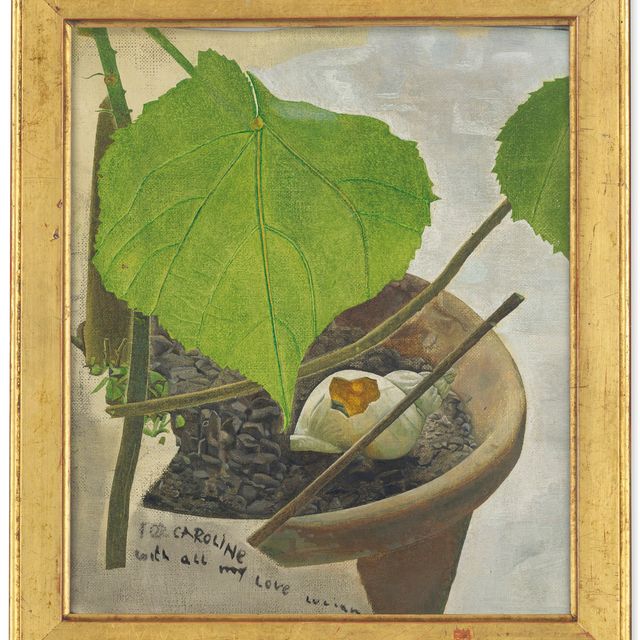 Lucian Freud — Натюрморт с Циммерлинде