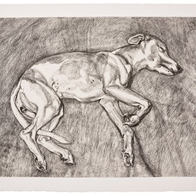 Lucian Freud — Илай