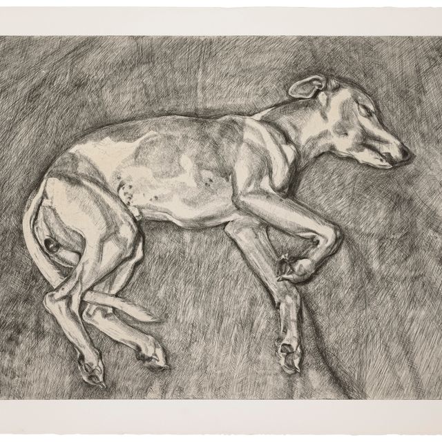 Lucian Freud — Илай