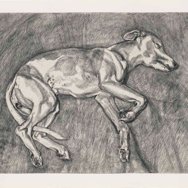 Lucian Freud — Илай