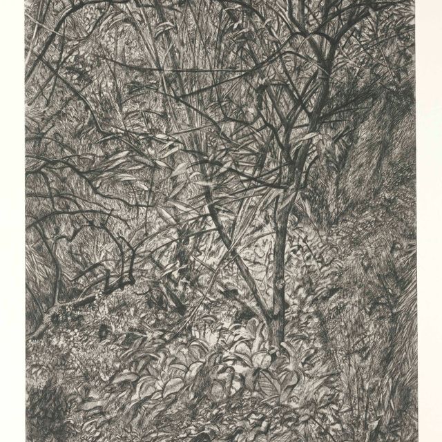 Lucian Freud — Зимний сад