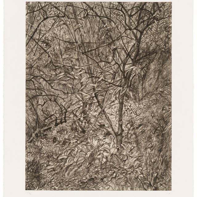 Lucian Freud — Зимний сад