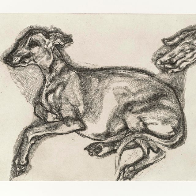 Lucian Freud — Плутону было двенадцать лет