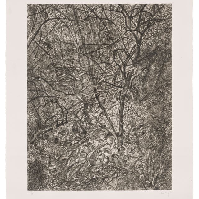 Lucian Freud — Зимний сад