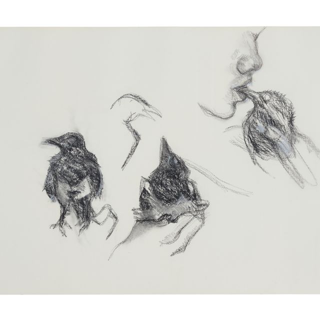 Lucian Freud — Молодая сорока