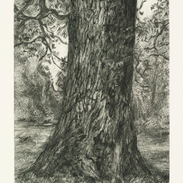 Lucian Freud — В честь вяза констебля