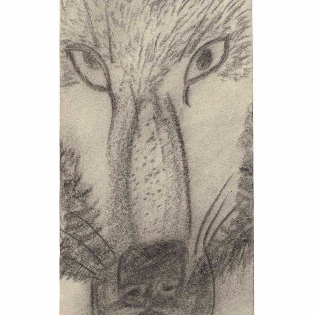 Lucian Freud — Волк