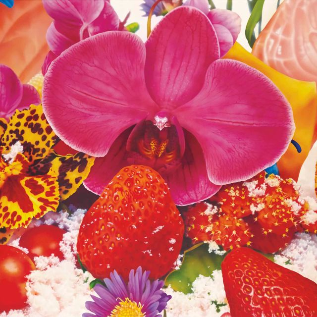 Marc Quinn — Слоны в дельте Окаванго
