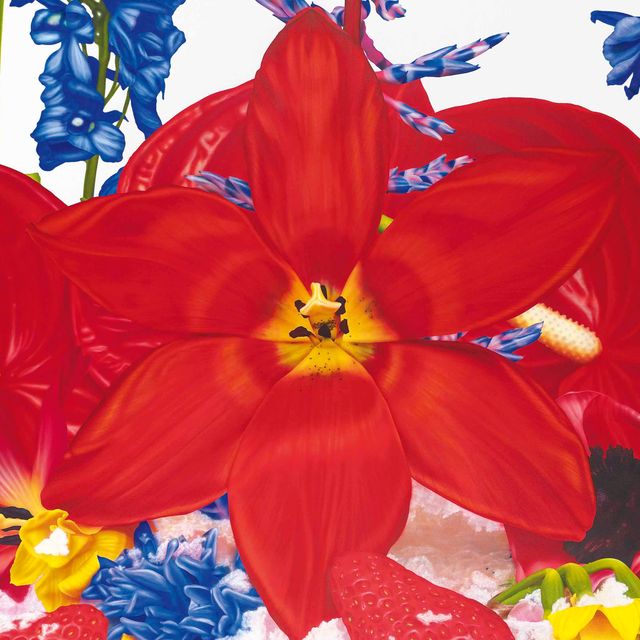 Marc Quinn — Ледяная шапка Калифорнии