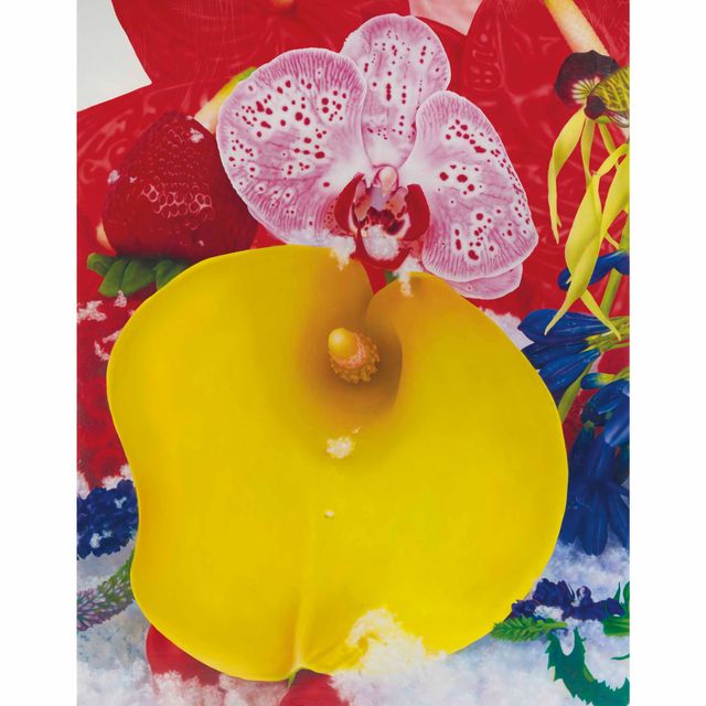 Marc Quinn — Огромные озерные льдины