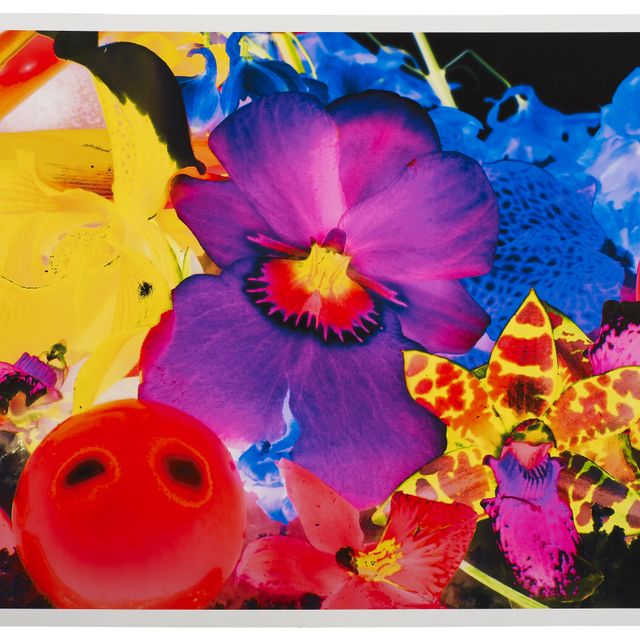 Marc Quinn — Лавиния Плантиа