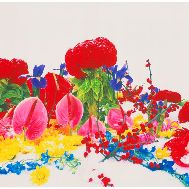 Marc Quinn — Фото 9, из: Winter Garden