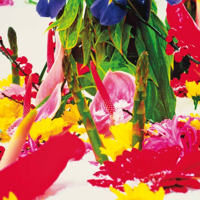 Marc Quinn — Зимний сад : два принта
